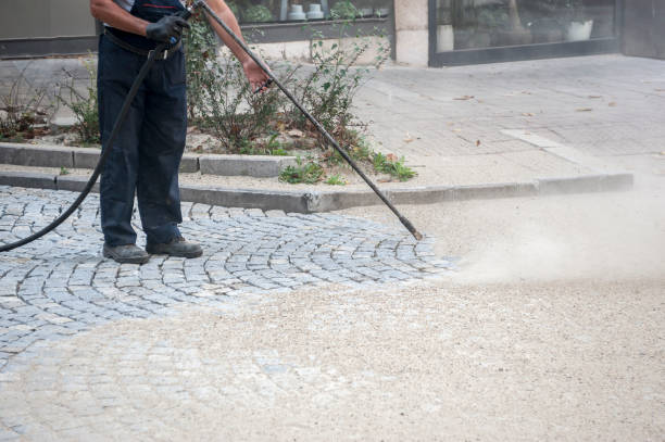 Best Dumpster Area Cleaning  in Dix Hills, NY
